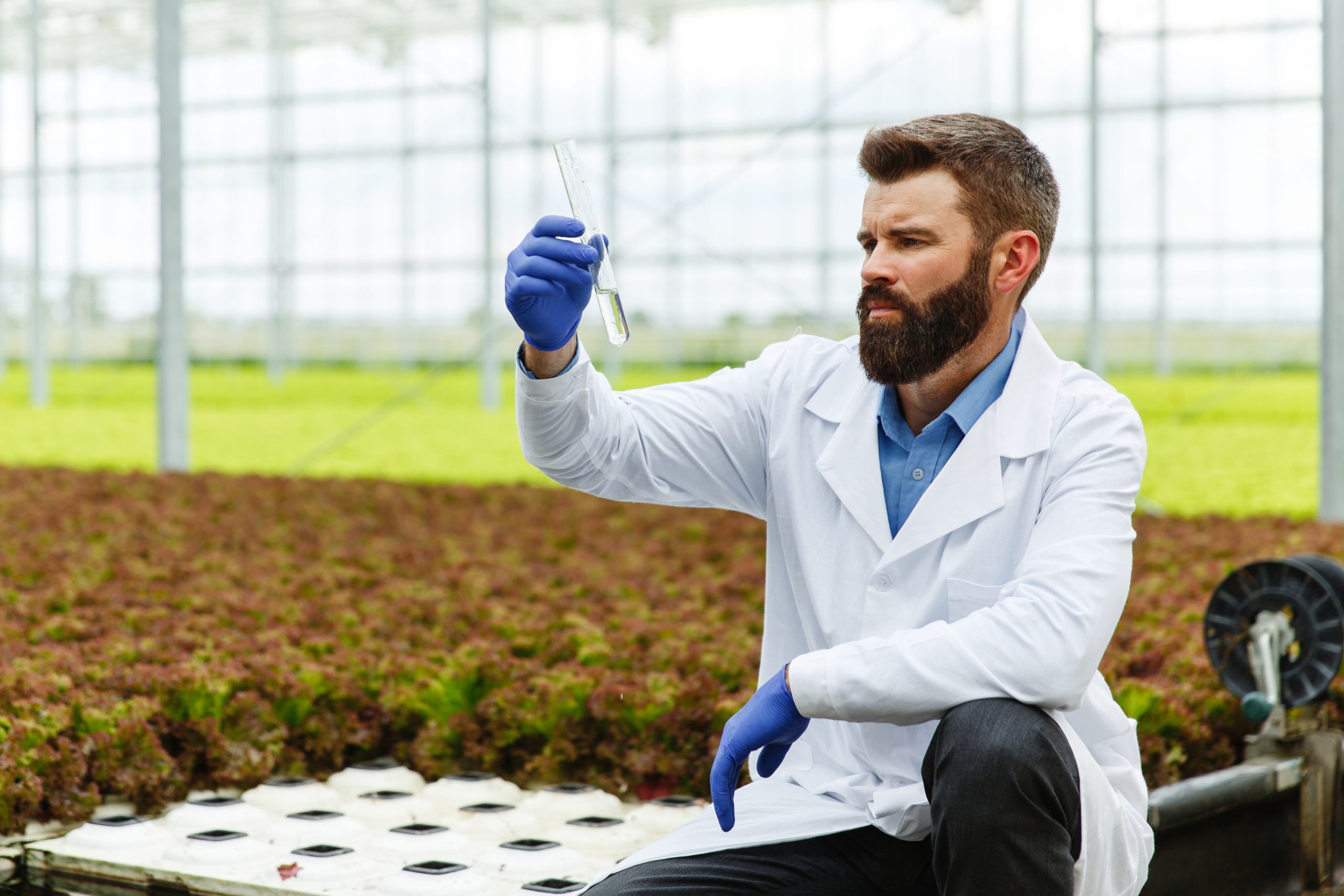 Agronomy & Forestry
